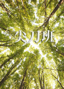 久久99九九精品免费